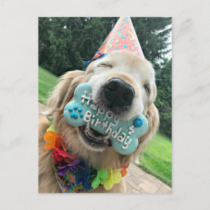 Cartão Postal Cachorro ouro De Retriever Com Feliz Aniversário