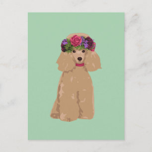 Cartão Postal Cachorro-Papoila-Papoila-Papoila-Da-Coroa-Flor