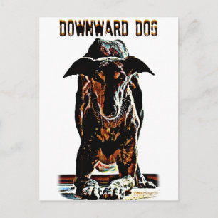 Cartão Postal Cachorro para Baixo