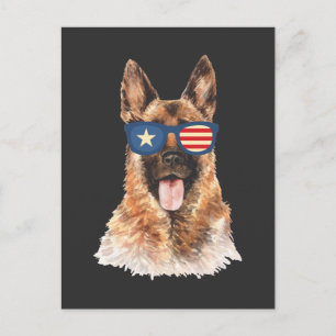 Cartão Postal Cachorro Pastor Alemão Bandeira Americana Oficial 