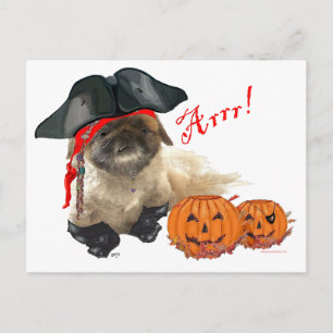 Cartão Postal Cachorro Pirata