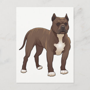 Cartão Postal Cachorro Pit Bull - Olá, Sinto Saudades, Obrigado