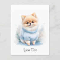 Cachorro Pomerano Pomerano Cachorro Cachorro Perso