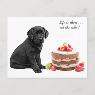Cartão Postal Cachorro Preto - Cachorro Aniversário - Cachorro L