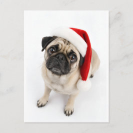 Cartão Postal Cachorro Pug Fawn Natal Chapéu de Papai Noel Olhos