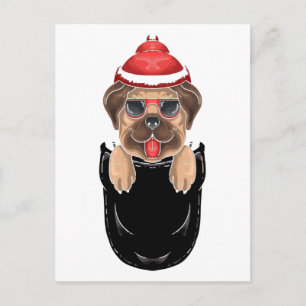 Cartão Postal Cachorro Pug Fofo Senta no Bolso
