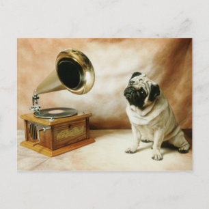 Cartão Postal Cachorro Pug RCA
