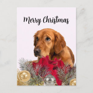Cartão Postal Cachorro Retriever Dourado com Enfeites de Natal