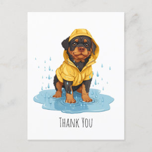 Cartão Postal Cachorro Rottweiler Agradecido Vestindo Impermeáve