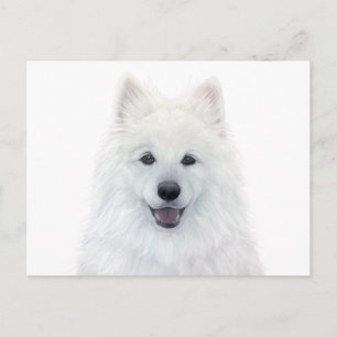 Cartão Postal Cachorro samoiado por pintura original miart