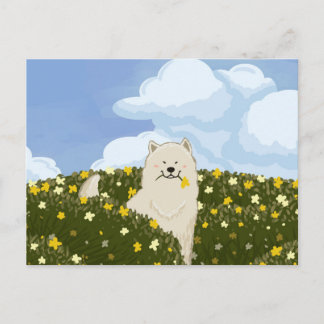 Cartão Postal Cachorro Samoyed Fofo em Campo de Flores Amarelas 