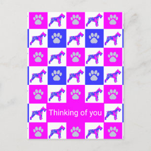 Cartão Postal Cachorro Schnauzer & Pata Rosa & Azul Pensando em
