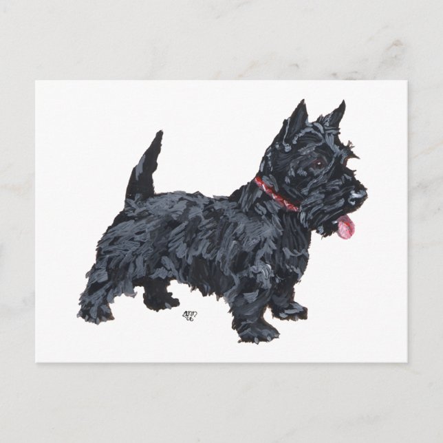 Cartão Postal Cachorro Scottie Esperto (Frente)