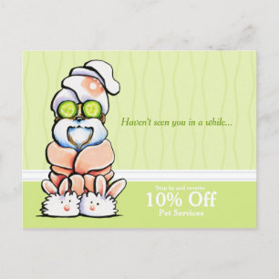 Cartão Postal Cachorro Spa Shih Tzu Cucumber Coupon Mailer
