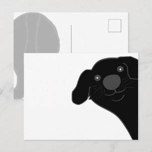 Cartão Postal Cachorro Terra Nova Preto Espiando Cartoon