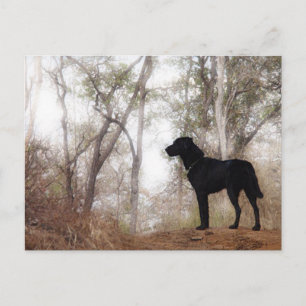 Cartão Postal Cachorro Trabalhando em Caninas de Conservação do 