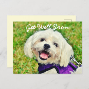 Cartão Postal Cachorro Verde Fresco e Incentivo