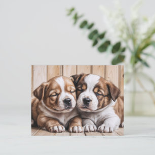 Cartão Postal Cachorros