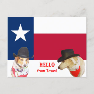 Cartão Postal Cachorros bonitos, Alô do Texas!