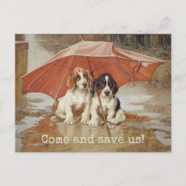 Cartão Postal Cachorros de basset sob o guarda-chuva CC0181 Troo