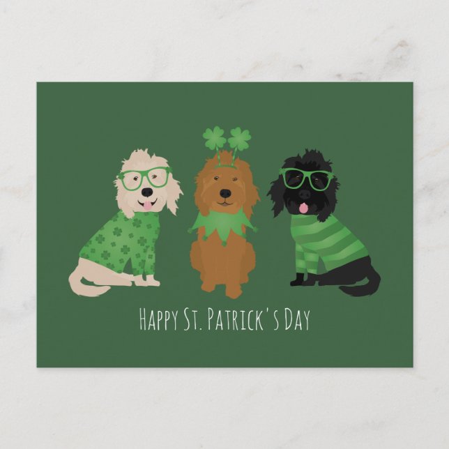 Cartão Postal Cachorros de Goldendoodle de Dia de São Patrício F (Frente)
