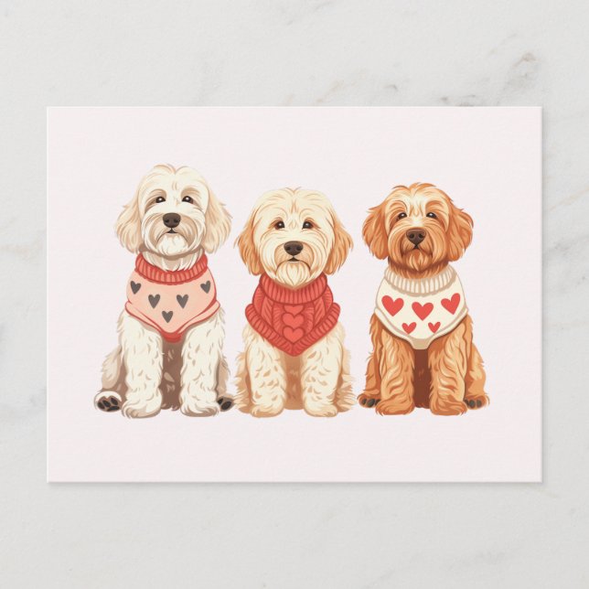 Cartão Postal Cachorros de Goldendoodle namorados (Frente)