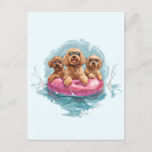 Cartão Postal Cachorros de Goldendoodle Piscina de Abacaxi de Ve
