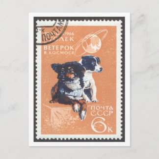 Cartão Postal Cachorros Espaciais Cartão-Postal Veterok e Ugolyo