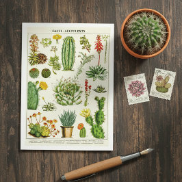 Cartão Postal Cacti Succulents Botanical Illustration Postcard