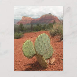 Cartão Postal Cacto de pera espinhosa em Sedona, arizona -