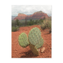 Cacto de pera espinhosa em Sedona, arizona -