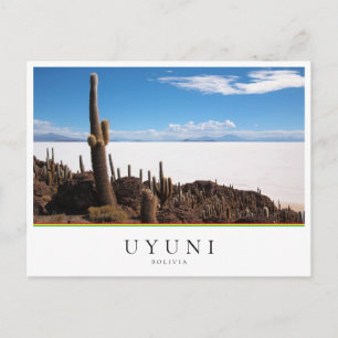 Cartão Postal Cacto gigante do Salar de Uyuni na Bolívia