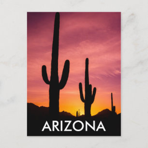 Cartão Postal Cacto Saguaro ao nascer do sol, Arizona