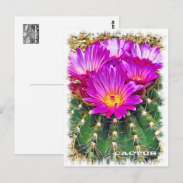 Cartão Postal Cactus ポストカード