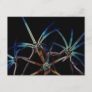 Cartão Postal Cactus 1 pccnm