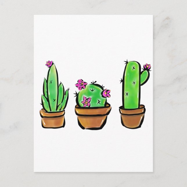 Cartão Postal Cactus cactos succultos (Frente)