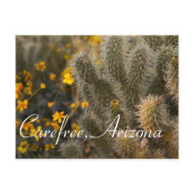 Cactus e flores selvagens em Arizona livre