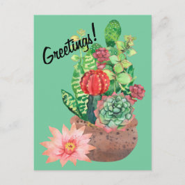 Cartão Postal Cactus, Succults, Flor De Cactus, Arranjo
