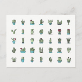 Cartão Postal Cactus Suculenta Plantas Botânicas Desenhadas À Mã