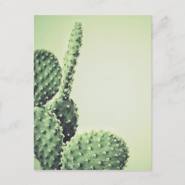 Cartão Postal Cactus Verde (Frente)
