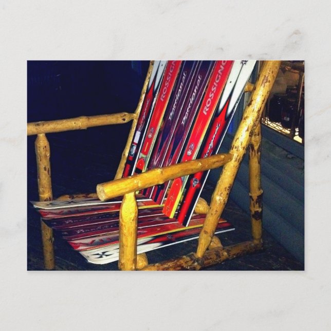 Cartão Postal Cadeira de Esqui Coisas Legal a Fazer com Pássaros (Frente)