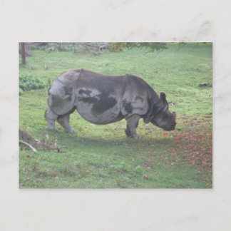 CARTÃO POSTAL CAE5ULC1