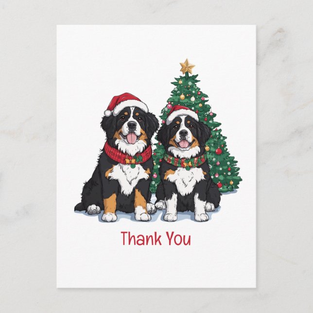 Cartão Postal Cães Berneses de Natal Obrigado (Frente)