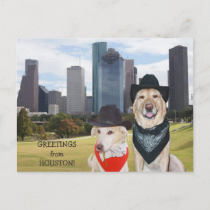 Cartão Postal Cães bonitos/cumprimentos do laboratório de