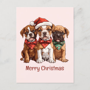 Cartão Postal Cães Boxer Feliz de Natal