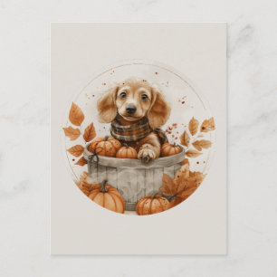Cartão Postal Cães Dachshund de Outono Abóbora