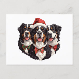 Cartão Postal Cães das Montanhas Bernesas de Natal