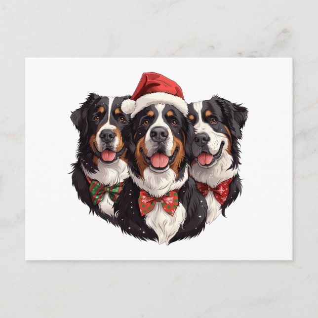 Cartão Postal Cães das Montanhas Bernesas de Natal (Frente)