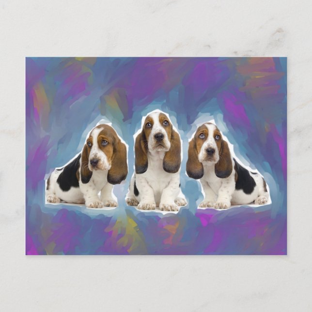 Cartão Postal Cães de Caça-Cama (Frente)