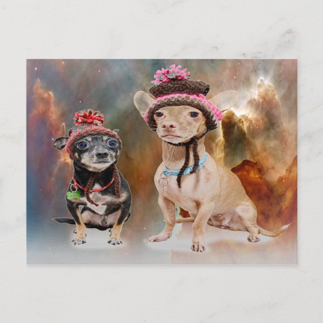 Cartão Postal Cães de Chapéu (Frente)